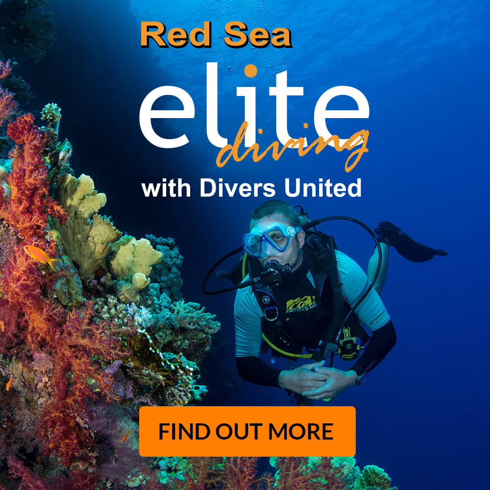 Dive with Elite Diving in the Red Sea